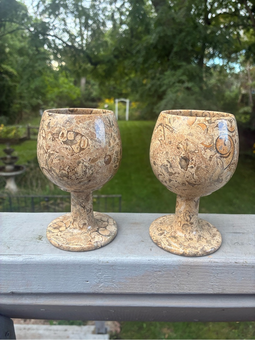 Vintage Natural Fossil Stone Goblet Set Barware